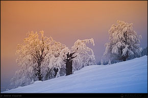 KERUCOV .ro - Fotografie si Jurnale de Calatorie - Straja in Muntii Valcan, zapada in culori si schi - 1