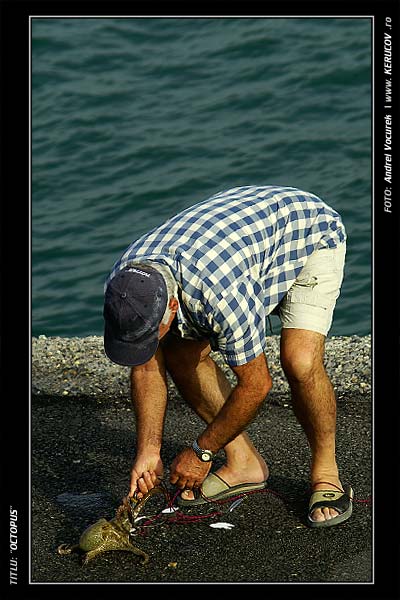 Fotografia Octopus / , album Printre oameni ca noi / Among People Like Us, Heraklion / Iraklion, Grecia, Insula Creta / Greece, Crete, KERUCOV .ro © 1997 - 2024 || Andrei Vocurek