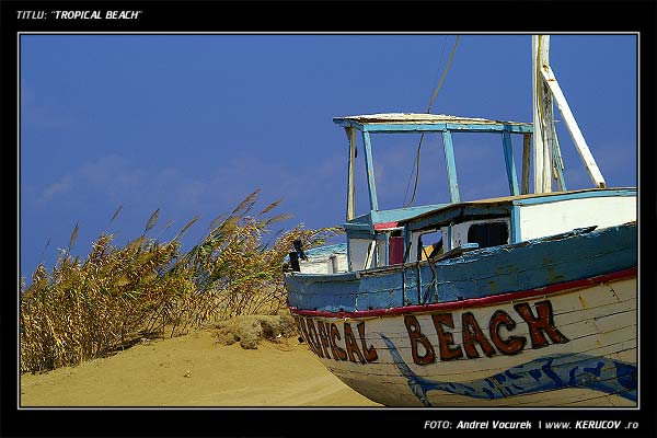 Fotografia Tropical Beach / , album Peisaj urban si suburban / Urban and Suburban Landscape, Malia, Grecia, Insula Creta / Greece, Crete, KERUCOV .ro © 1997 - 2024 || Andrei Vocurek