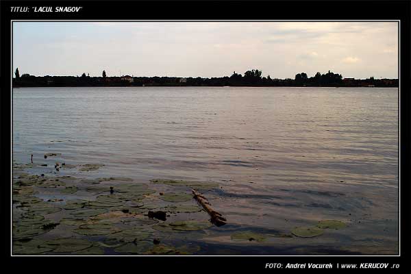 Fotografia: Lacul Snagov / , KERUCOV .ro © 1997 - 2025 || Andrei Vocurek