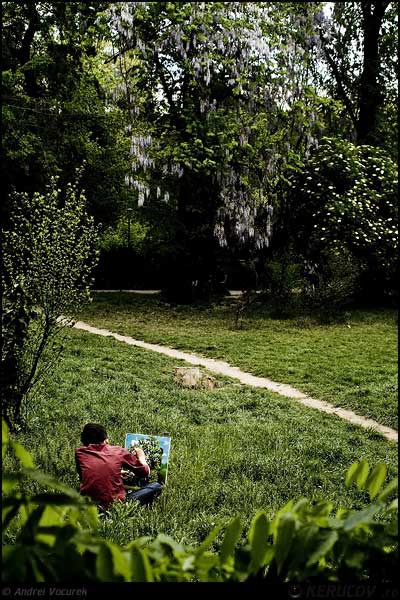 Fotografia: Verde in ulei pe panza / Green, Oil On Canvas, KERUCOV .ro © 1997 - 2025 || Andrei Vocurek