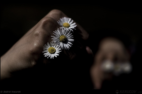 Fotografia: Flower-Power / Flower-Power, KERUCOV .ro © 1997 - 2024 || Andrei Vocurek