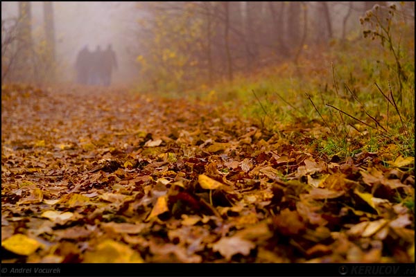 Fotografia: Fosnet tacut / Soundless Rustle, KERUCOV .ro © 1997 - 2025 || Andrei Vocurek