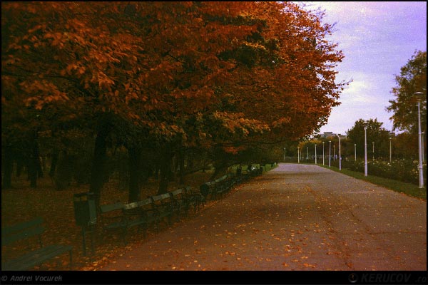 Fotografia: Aleea cea mare / The Big Alley, KERUCOV .ro © 1997 - 2025 || Andrei Vocurek