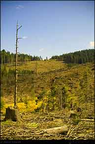 KERUCOV .ro - Fotografie si Webdesign - Traseu MTB Piatra Craiului: Predeal - Zarnesti - Dambovicioara - Sirnea - Magura - Brasov (3 zile) de Andrei Vocurek