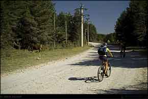 KERUCOV .ro - Fotografie si Webdesign - Traseu MTB Valea Doftanei: Campina - Paltinu - Tesila - Traisteni de Andrei Vocurek