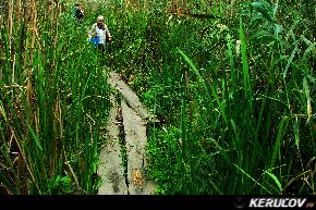 KERUCOV .ro - Fotografie si Jurnale de calatorie - Traseu MTB Bucuresti - Comana - Parcul Natural Comana de Andrei Vocurek