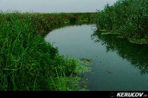 KERUCOV .ro - Fotografie si Jurnale de calatorie - Traseu MTB Bucuresti - Comana - Parcul Natural Comana de Andrei Vocurek