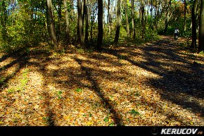 KERUCOV .ro - Fotografie si Jurnale de calatorie - Traseu MTB Caldarusani - Padurea Caldarusani - Manastirea Caldarusani de Andrei Vocurek