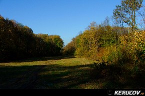 KERUCOV .ro - Fotografie si Jurnale de calatorie - Traseu MTB Caldarusani - Padurea Caldarusani - Manastirea Caldarusani de Andrei Vocurek