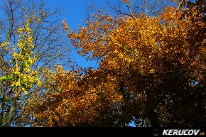 KERUCOV .ro - Fotografie si Jurnale de calatorie - Traseu MTB Caldarusani - Padurea Caldarusani - Manastirea Caldarusani de Andrei Vocurek