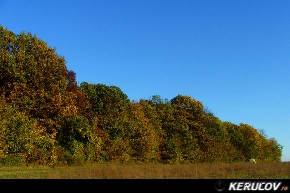 KERUCOV .ro - Fotografie si Jurnale de calatorie - Traseu MTB Caldarusani - Padurea Caldarusani - Manastirea Caldarusani de Andrei Vocurek