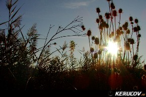 KERUCOV .ro - Fotografie si Jurnale de calatorie - Traseu MTB Caldarusani - Padurea Caldarusani - Manastirea Caldarusani de Andrei Vocurek