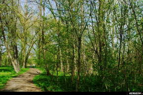 KERUCOV .ro - Fotografie si Jurnale de Calatorie - Traseu MTB Bucuresti - Mogosoaia - Palatul Mogosoaia de Andrei Vocurek